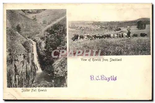Great BRitain Cartes postales View of Howick from Stackland Shelter fall Howick