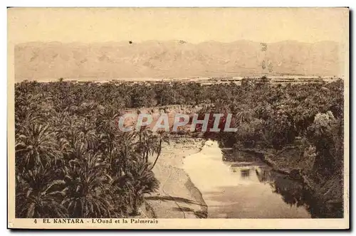 Maroc El Kantara Cartes postales L'oued et la palmeraie