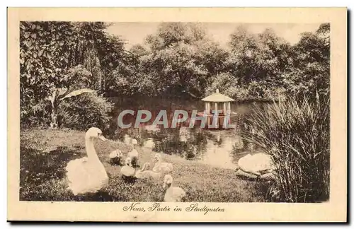 Allemagne Neus Cartes postales Partie im Stadtgarten