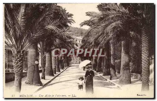 Menton Cartes postales Une allee de Palmiers