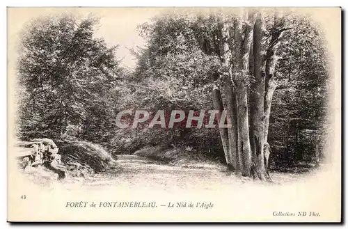 Foret de Fontainebleau Ansichtskarte AK Le nid de l&#39aigle