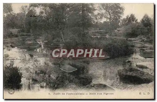 Foret de Fontainebleau Ansichtskarte AK Mare aux pigeons