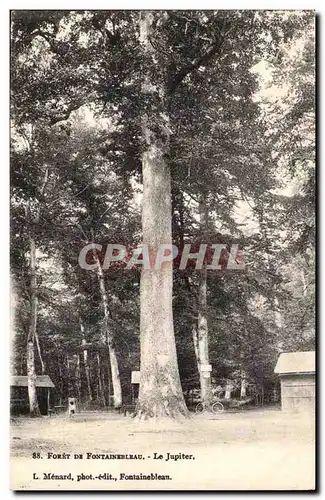 foret de Fontainebleau Ansichtskarte AK Le Jupiter