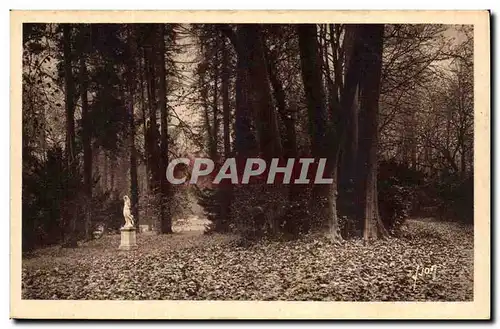 Fontainebleau Ansichtskarte AK Allee des Platanes