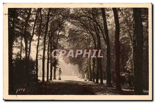 Versailles Cartes postales Allee de l&#39ete