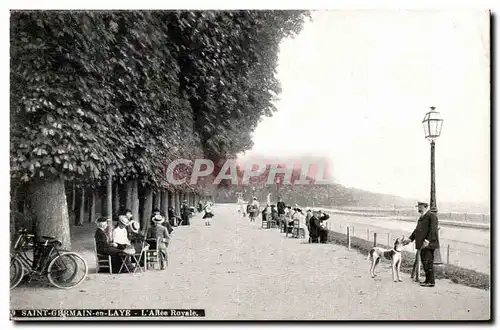 Saint Germain en laye Cartes postales L&#39alle royale