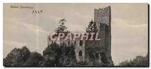 Cartes postales Ruine Spesburg