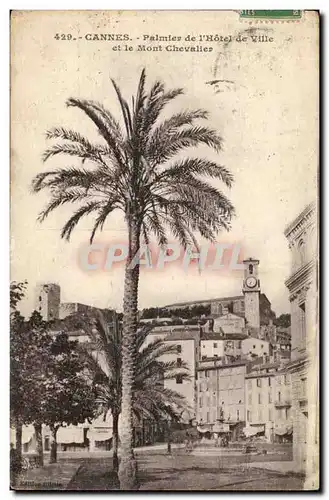 Cannes Ansichtskarte AK Palmier de l&#39hotel de ville et le Mont Chevalier