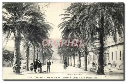 Toulon - Place de la Liberte Allee des Palmiers Ansichtskarte AK