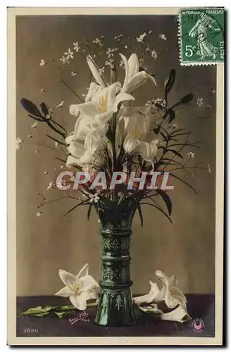 Cartes postales FAntaisie Fleurs