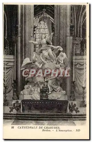 Cathedrale de Chartres Ansichtskarte AK Bridan l&#39assomption