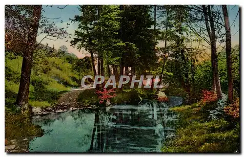 Vichy Cartes postales Les bords du Jolan aux Malavaux