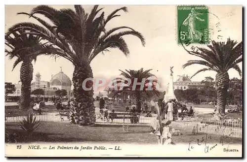 Nice Ansichtskarte AK Les palmiers du jardin public (palmiers)