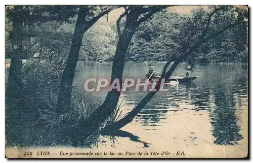 Lyon Cartes postales Une promenade sur le lac au parc de la tete d&#39or