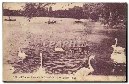 Lyon Ansichtskarte AK Parc de la Tete d&#39or Les cygnes (swan)