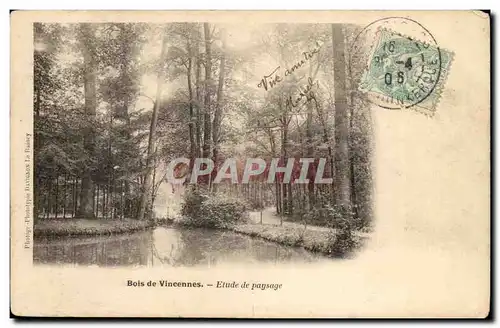 Vincennes Cartes postales Bois Etude de paysage