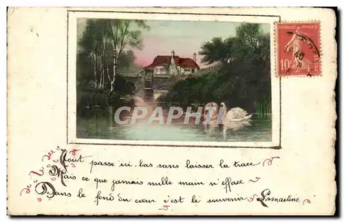 Fantaisie Cartes postales Tout passe ici bas sans laisser de trace (cygnes swan)