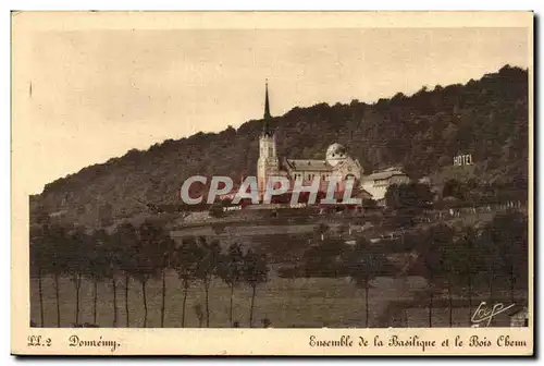 Domremy Ansichtskarte AK ensemble de la basilique et le bois Chenu