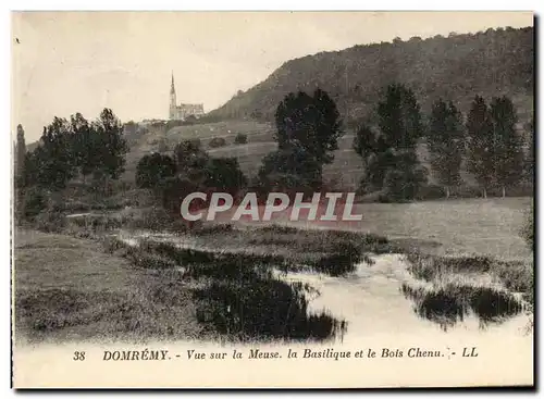 domremy Cartes postales Vue sur la Meuse la basilique et le bois chenu