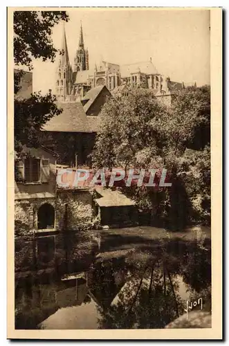 Chartres Cartes postales Les rives de l&#39Eure et la cathedrale