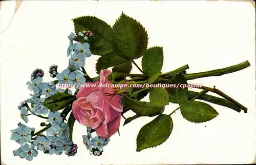 Cartes postales Fantaisie Fleur