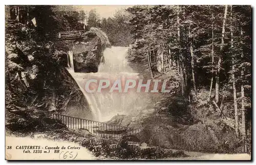 Cauterets Ansichtskarte AK Cascade du Cerisey