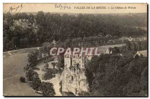 Belgique Belgie Cartes postales Vallee de la Meuse Le chateau de Walzin