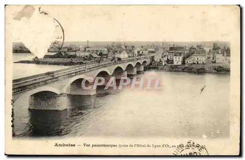 Amboise Cartes postales Vue panoramique (prise de l&#39hotel du Lyon d&#39or au pied du chateau)