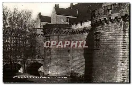 Nantes Cartes postales Entree du chateau