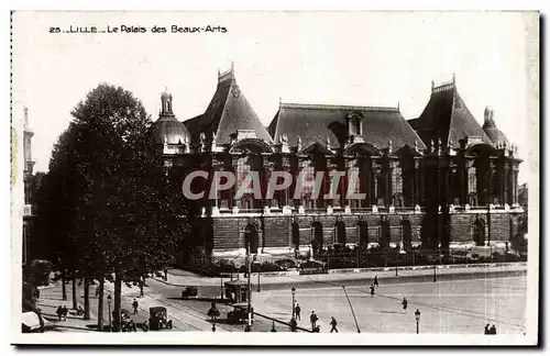 Lille Cartes postales Le palais des Beaux arts