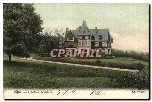 Belgie Belgique SPA Cartes postales Chateau Neubois