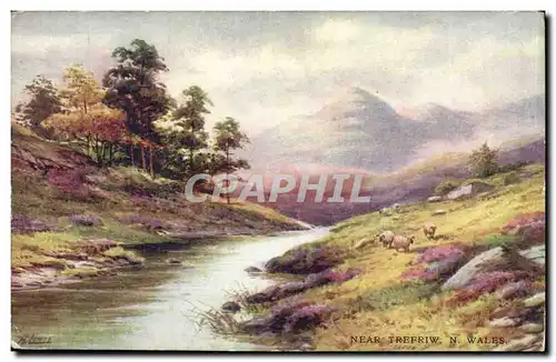 Great Britain Wales Cartes postales Near Trefriw