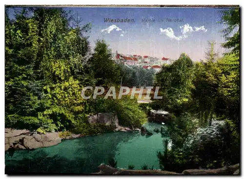 Allemagne Wiesbaden Cartes postales PArtie im Nerotal