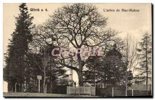 Allemagne Worth Cartes postales L&#39arbre de MAc Mahon