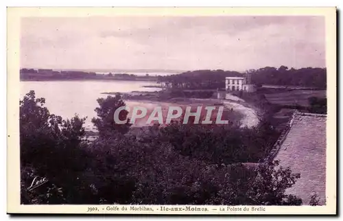 Morbihan Cartes postales ile aux Moines La pointe du Brelic