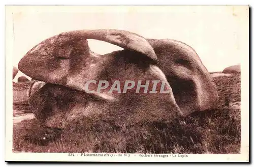 Ploumanach Ansichtskarte AK Rochers etranges Le lapin (rabbit)