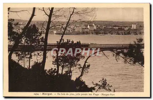 Morgat Cartes postales Du bois de pins jolie percee sur la plage Morgat port