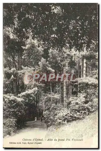 Chateau d'Epinal Cartes postales Allee du grand jeu Pin Weymouth