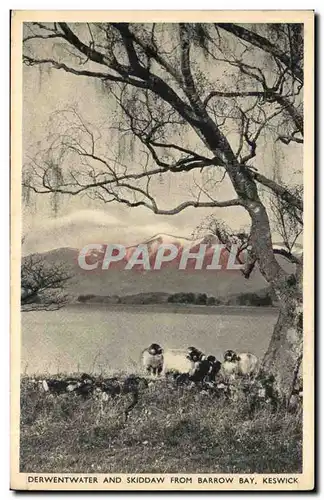 Great Britain Derwentwater and Skiddaw from Barrow bay Keswick