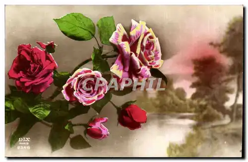 Cartes postales Fantaisie Fleurs