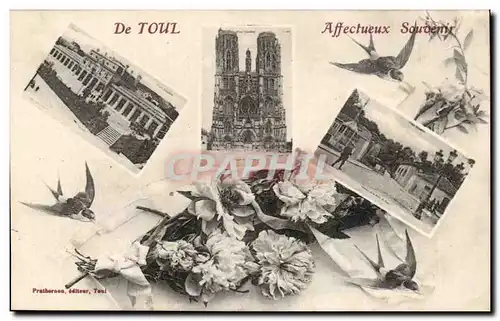 Cartes postales De Toul Affectueux souvenir (hirondelle)