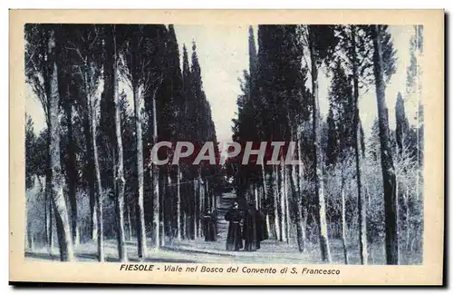 Italie Italia Fiesole Ansichtskarte AK Viale nel Bosco del Convento di S Francesco