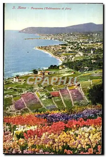 Italie Italia Cartes postales S Remo Panorama (cotltivazione di fiori)