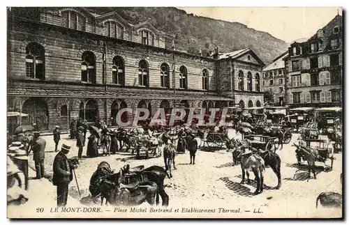 Puy de Dome- Le Mont Dore- Place Michel et Etablissement Thermal -Ansichtskarte AK Ane donkey