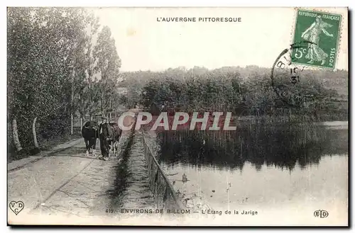 Puy de Dome- Environs de Billom- L&#39Etang de la Jarige- torreau -Cartes postales