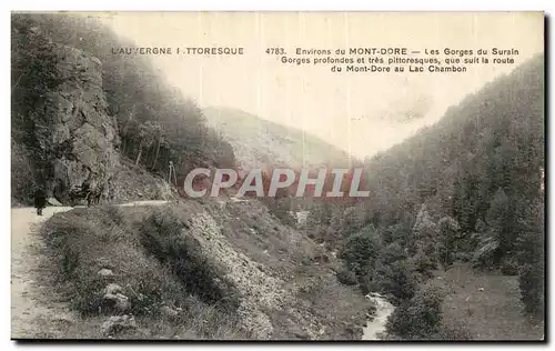 Puy de Dome- Environs de Mont Dore- Les Gorges du Surain- Gorges profond et tres pittoresque--Ansichtskarte AK