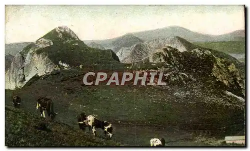 Puy de Dome- Le Mont Dore- Les Roches Tuilier et Sanadoire-vache --Ansichtskarte AK