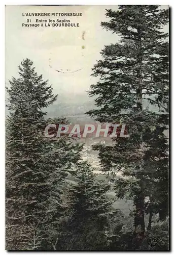 Puy de Dome -Entre des Sapins - Paysage a la Bourboule - Ansichtskarte AK