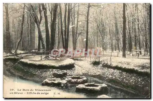 Paris (12) Le Bois de Vincennes en hiver- Effets de Neige-Ansichtskarte AK