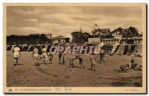 Saitn Georges de Didonne Cartes postales La conche